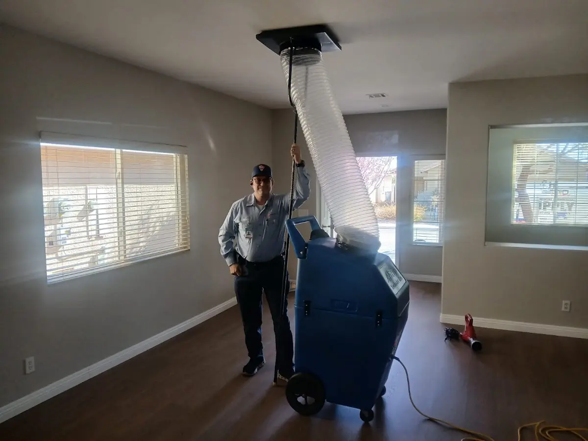 Professional Dryer Vent Cleaning work inside a Emmaus home